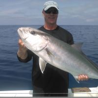 Barracudaville Charters