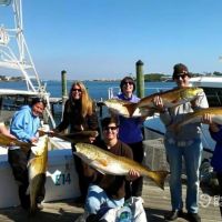 Business Card: Capt. Mike Peek's Inshore Fishing