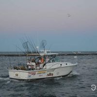 Business Card: J J Sport Fishing Charters