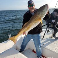 Business Card: Seize The Bay Fishing Charters