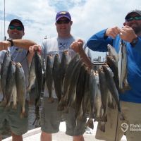 Business Card: Alabama Girl Fishing - Fort Morgan