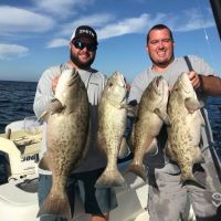 Bottom Line Sportfishing