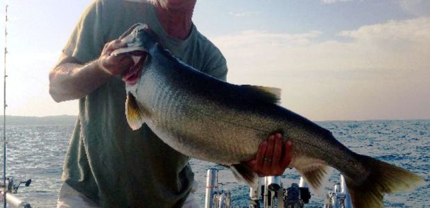 Business Card: Salmon Slayer Sportfishing Charters