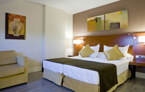 Hotel Puerta de Toledo