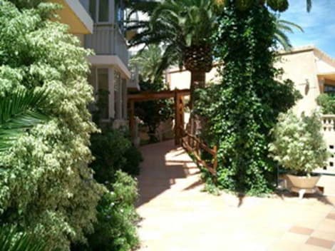 Palm Court Apartaments