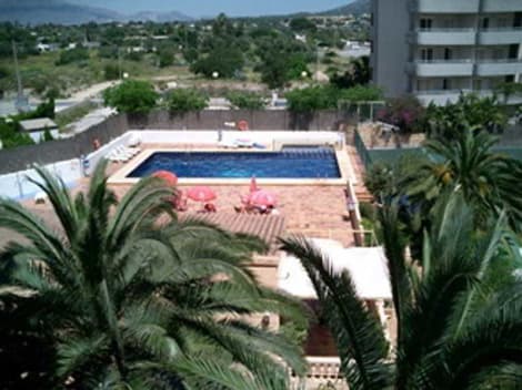 Palm Court Apartaments