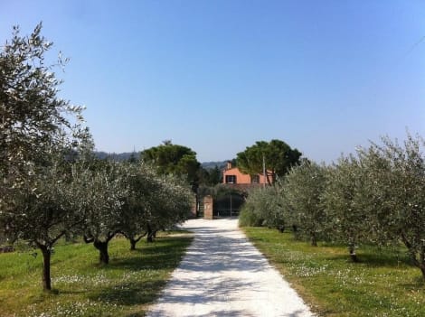 Hotel Paradiso In Collina