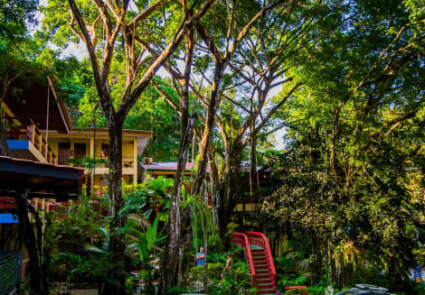 Jungle Beach Hotel Manuel Antonio Hotel