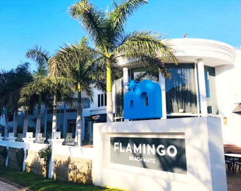 Hotel Flamingo Beach Mate