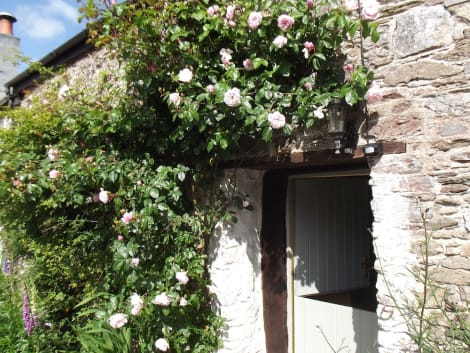 Kilbury Manor B&B Hotel