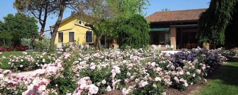 Hotel Agriturismo La Borina