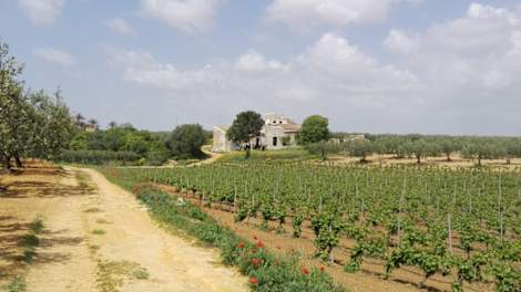 Hôtel Glamping Nuvolive
