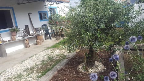 Hotel B&B in Traditional Portuguese House