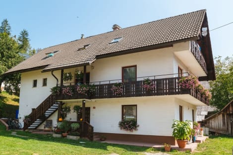Apartments Lake Bohinj Medja Hotel