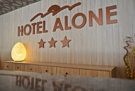 Hotel Alone