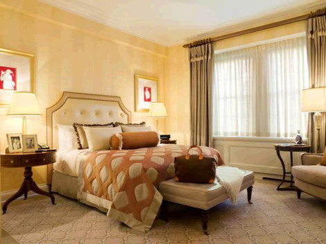 Hotel The Pierre - A TAJ Hotel