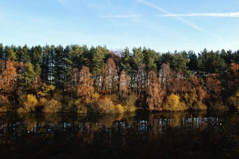 Nunsmere Hall Hotel