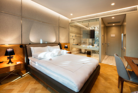 Hôtel Fer Hotel