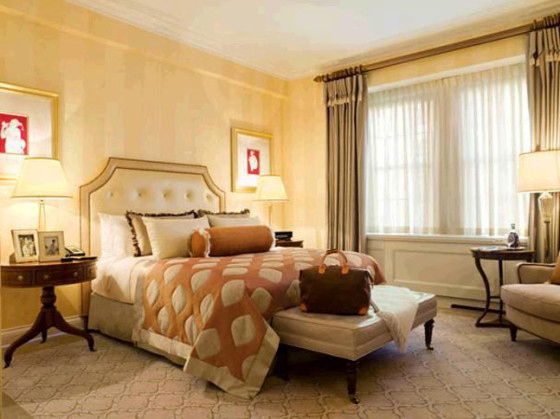 Hotel The Pierre - A TAJ Hotel