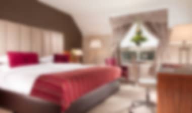Hotel Award Winning Hotel And Leisure Club - 15 Mins From Dublin