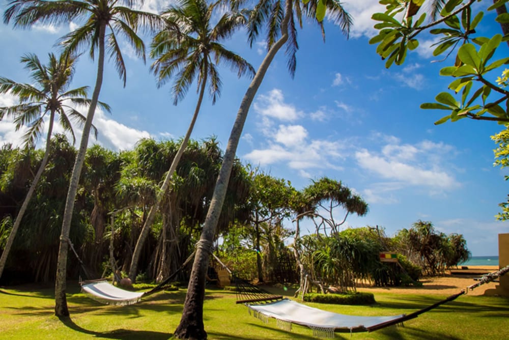 Milano - Ahungalla - Heritance Ahungalla
Milano - Ahungalla - Heritance Ahungalla