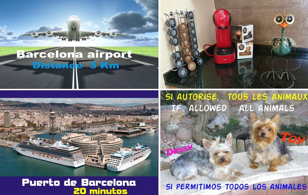 Bologna - Castelldefels - Airport BCN, Atico terraza & BBQ, Puerto Cruceros a 15 minutos
Bologna - Castelldefels - Airport BCN, Atico terraza & BBQ, Puerto Cruceros a 15 minutos