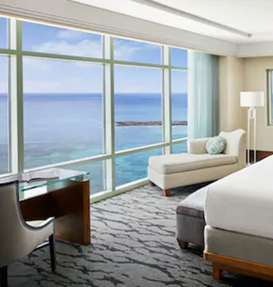 Bologna - Nassau (Bahamas), Caraibi - The Reef at Atlantis
Bologna - Nassau (Bahamas), Caraibi - The Reef at Atlantis