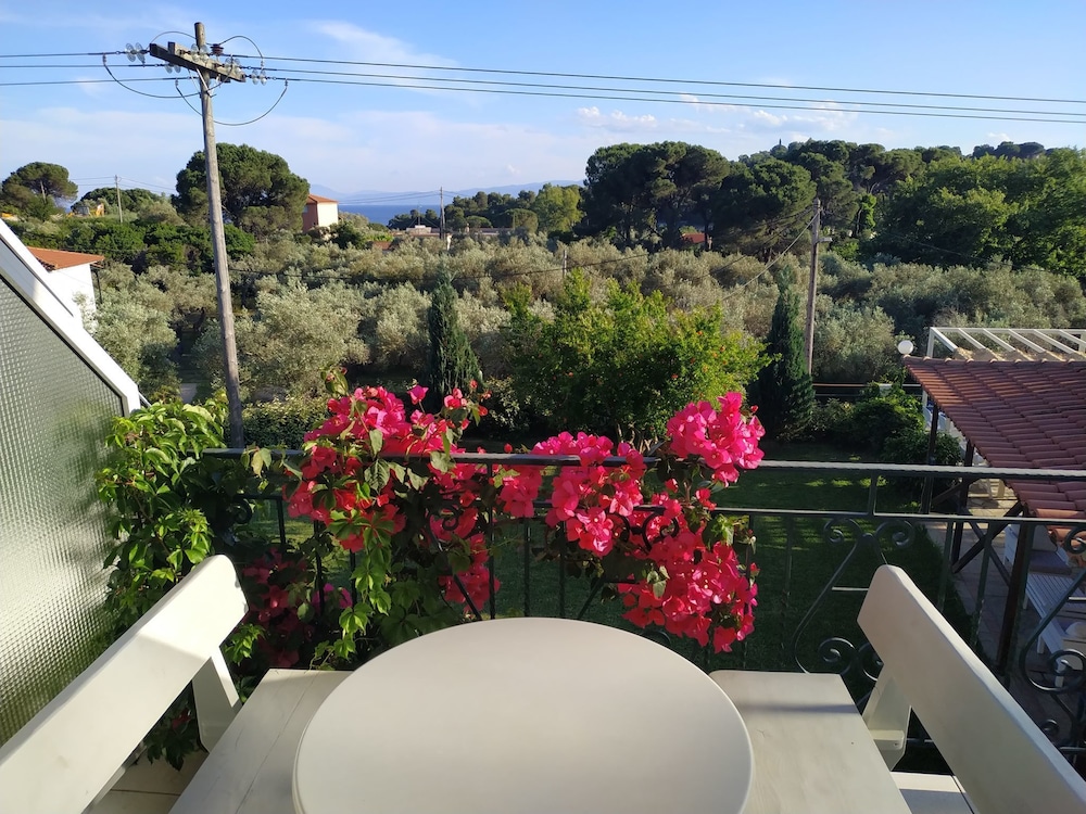 Roma - Skiathos, Isole Greche - Esperos Hotel of Apartments&Studios 
Roma - Skiathos, Isole Greche - Esperos Hotel of Apartments&Studios