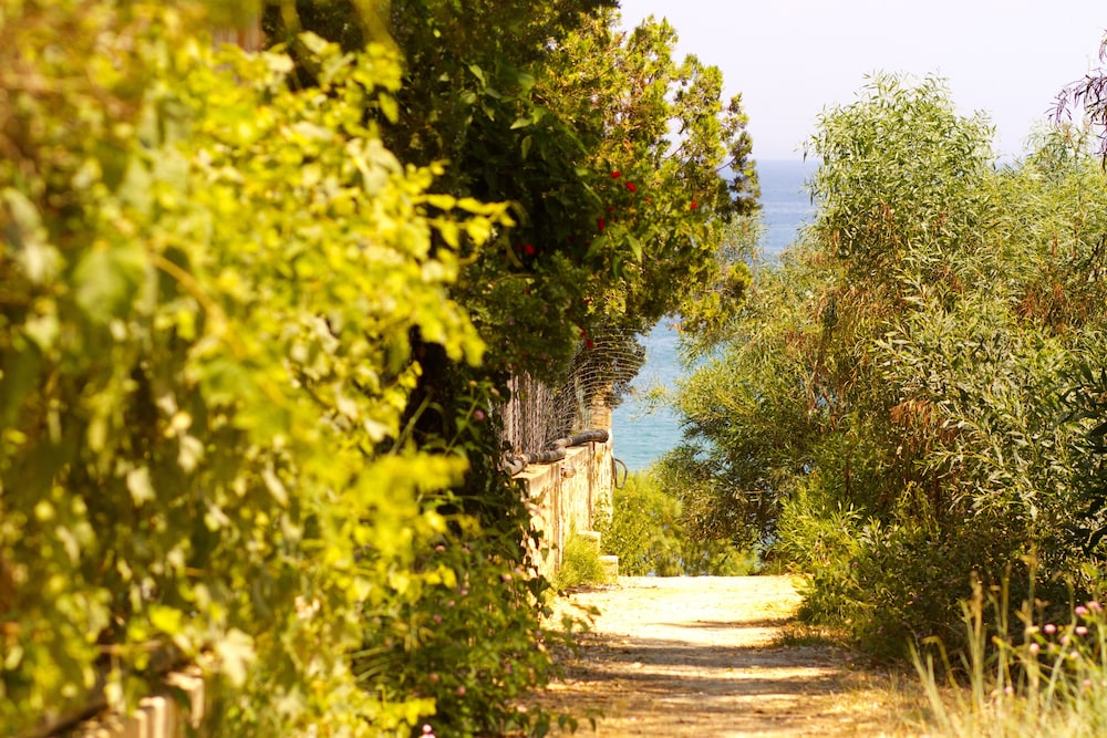 Milano - Vasilikos - Pyrgaraki Studios and Apartments
Milano - Vasilikos - Pyrgaraki Studios and Apartments