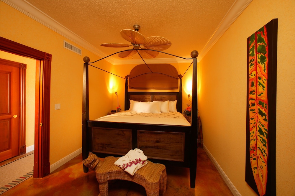 Bologna - Grand Bahama (Bahamas), Caraibi - Pelican Bay Resort at Lucaya
Bologna - Grand Bahama (Bahamas), Caraibi - Pelican Bay Resort at Lucaya
