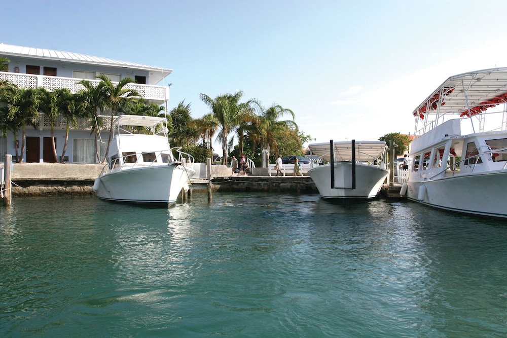 Bologna - Grand Bahama (Bahamas), Caraibi - Flamingo Bay Hotel & Marina at Taino Beach
Bologna - Grand Bahama (Bahamas), Caraibi - Flamingo Bay Hotel & Marina at Taino Beach