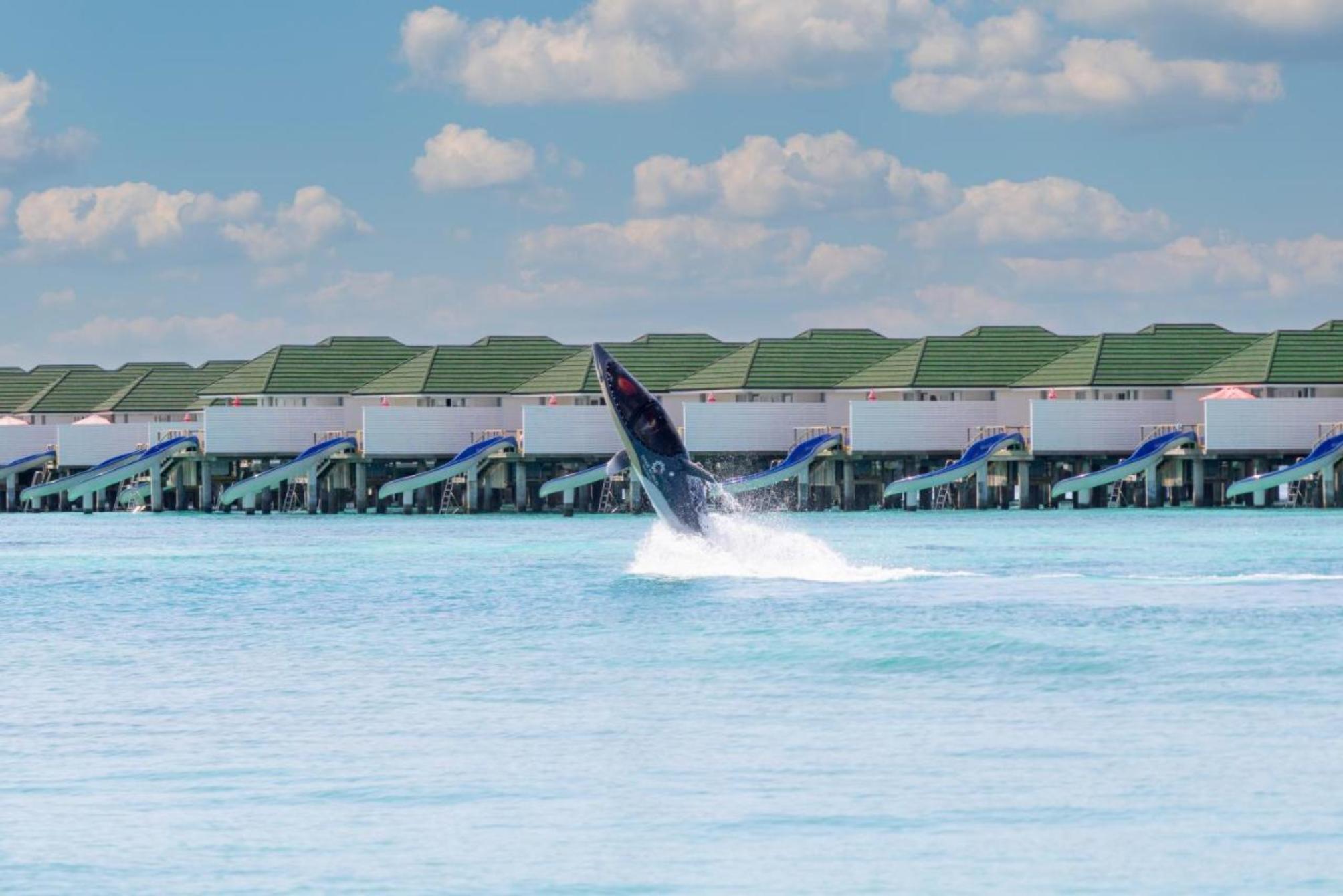 Brindisi - Atollo di Lhaviyani - Siyam World Maldives - 24 hour Premium Inclusive
Brindisi - Atollo di Lhaviyani - Siyam World Maldives - 24 hour Premium Inclusive