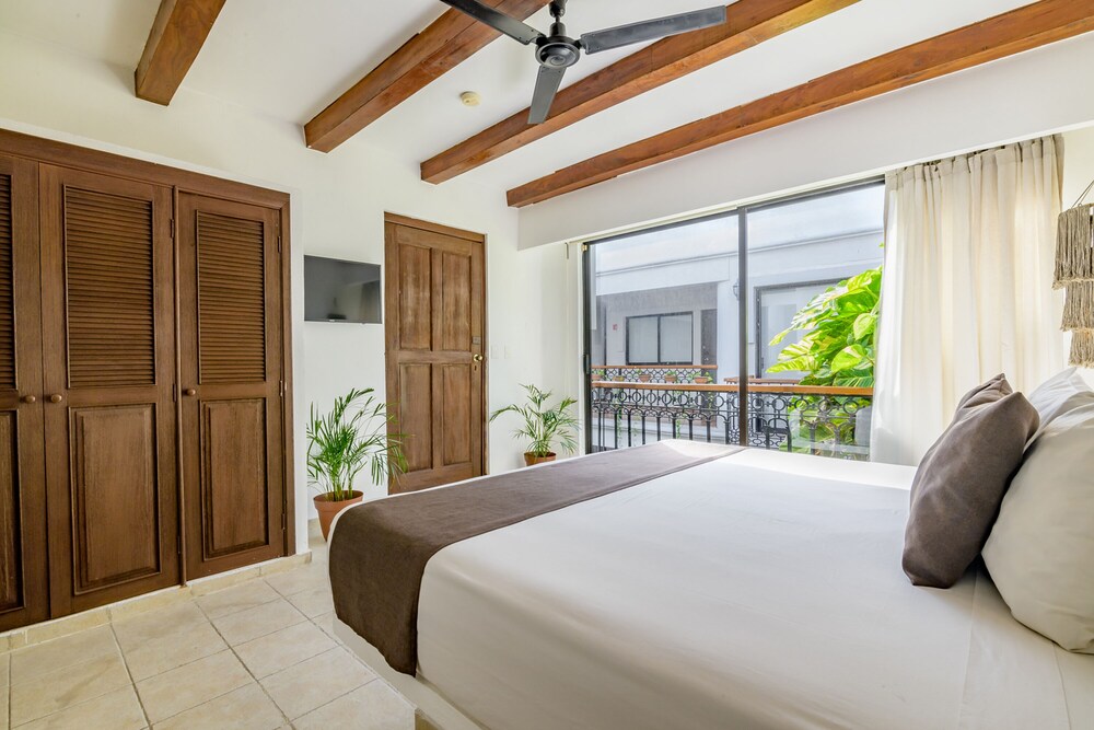 Bologna - Playa del Carmen - Hotel Banana Boutique & Spa - 5th Av Playa del Carmen
Bologna - Playa del Carmen - Hotel Banana Boutique & Spa - 5th Av Playa del Carmen