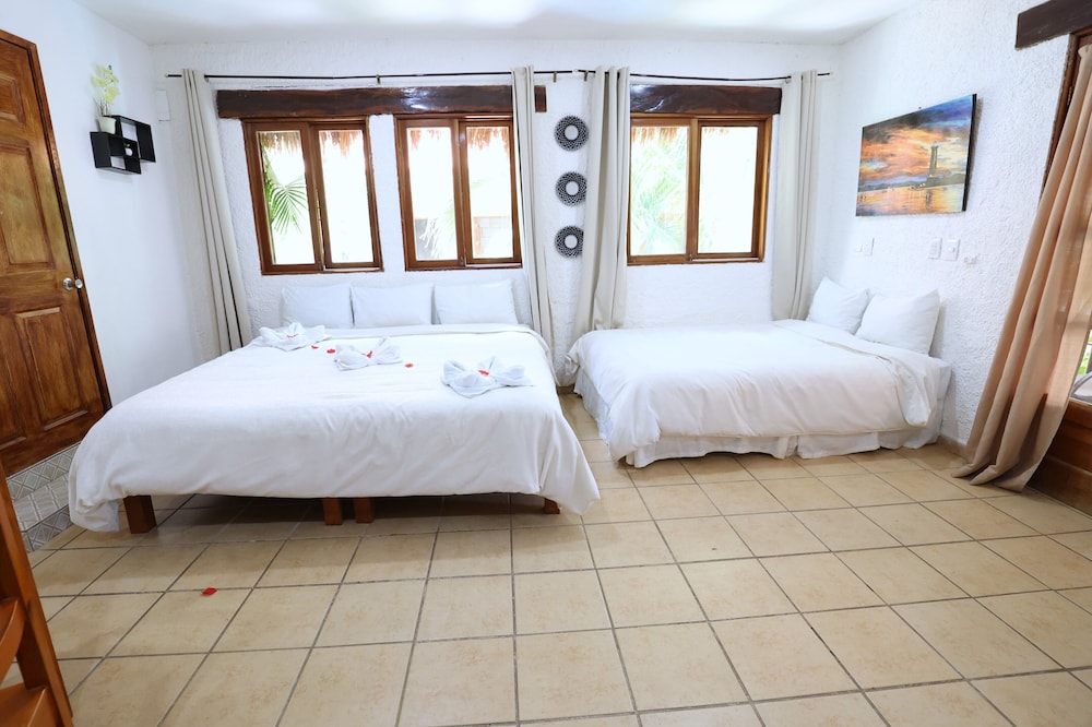 Roma - Messico - Riviera Maya, Caraibi - Hotel Bosque Caribe, 5th Av. zone
Roma - Messico - Riviera Maya, Caraibi - Hotel Bosque Caribe, 5th Av. zone