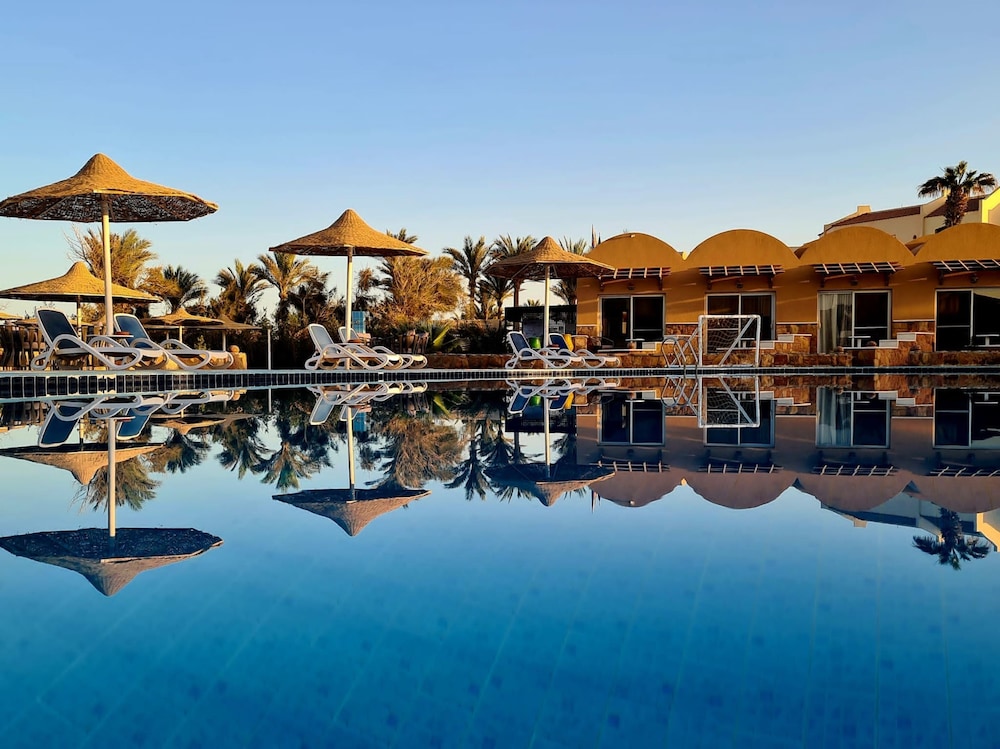 Bologna - Marsa Alam e El Quseir, Mar Rosso - Silver Beach Boutique Hotel
Bologna - Marsa Alam e El Quseir, Mar Rosso - Silver Beach Boutique Hotel