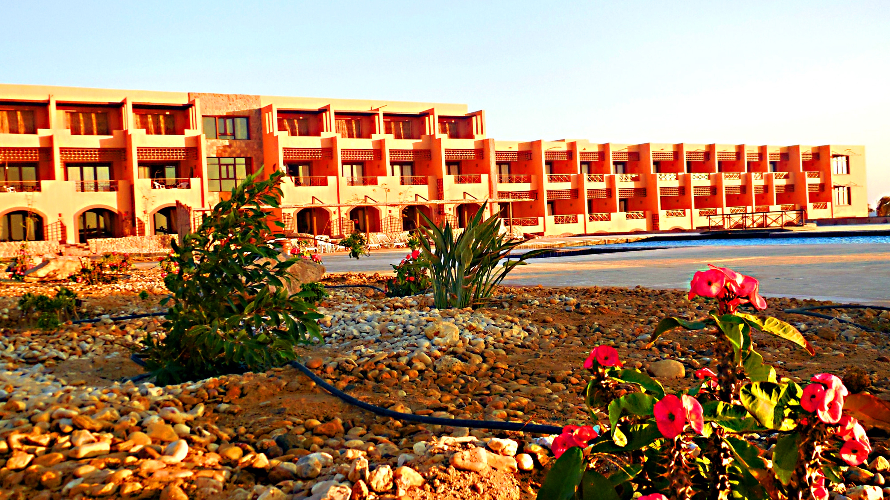 Milano - Soma Bay - Viva Blue Resort and Diving Sharm El Naga (Adults Only)
Milano - Soma Bay - Viva Blue Resort and Diving Sharm El Naga (Adults Only)