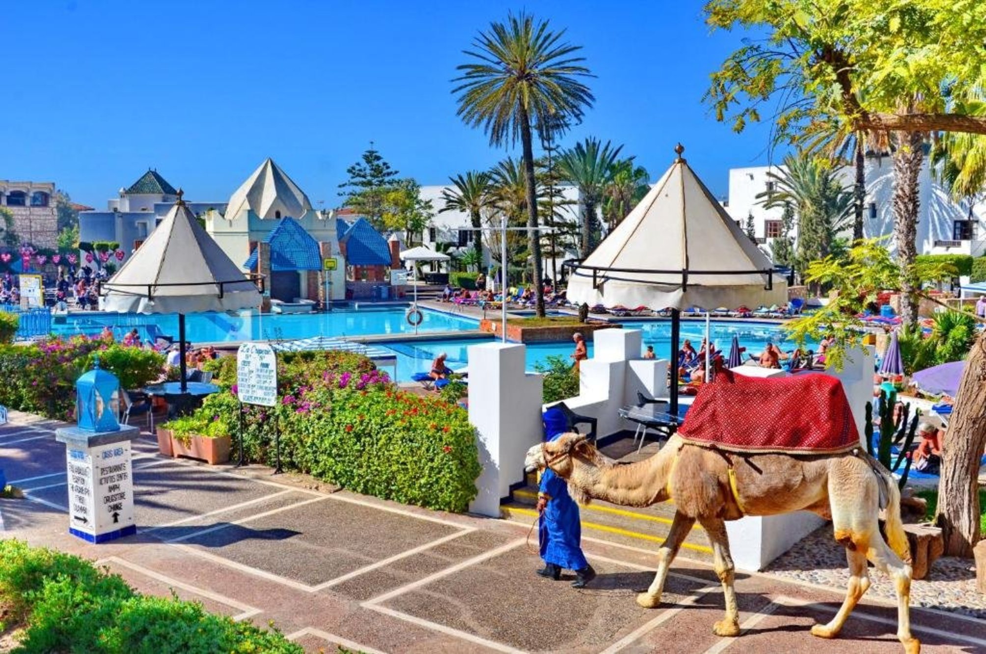 Milano - Agadir e Taghazout, Marocco - Caribbean Village Agador - All inclusive
Milano - Agadir e Taghazout, Marocco - Caribbean Village Agador - All inclusive
