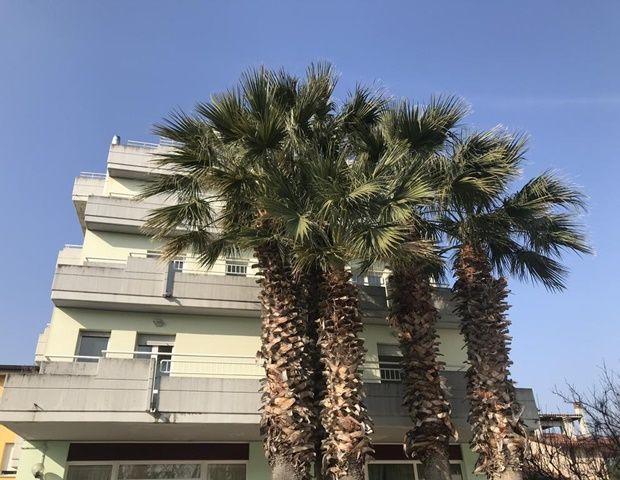 Milano - San Benedetto del Tronto - Hotel Mediterraneo Ombrellone e Lettini Inclusi
Milano - San Benedetto del Tronto - Hotel Mediterraneo Ombrellone e Lettini Inclusi