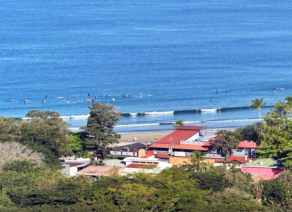 Bologna - Costa Rica - Costa del Pacifico - Surf Ranch Tamarindo
Bologna - Costa Rica - Costa del Pacifico - Surf Ranch Tamarindo