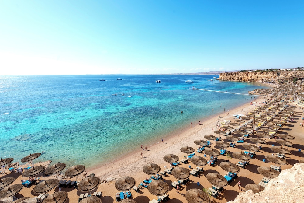 Roma - Sharm El Sheikh - Reef Oasis Beach Aqua Park Resort
Roma - Sharm El Sheikh - Reef Oasis Beach Aqua Park Resort