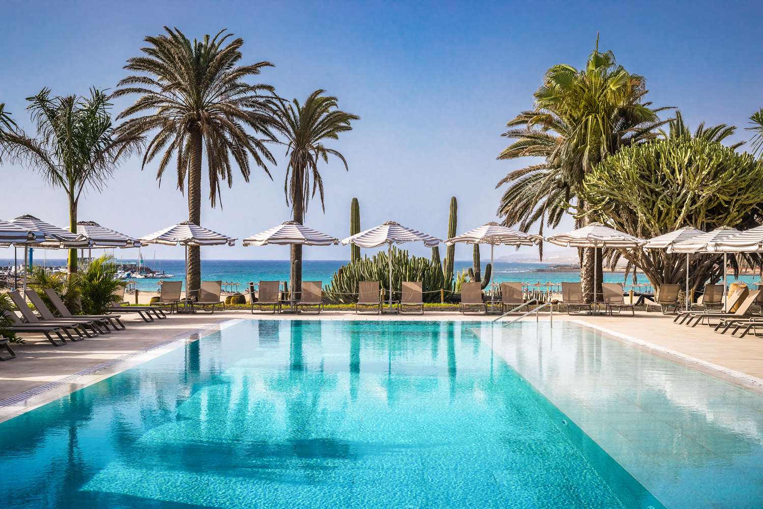 Venezia - Fuerteventura, Isole Canarie - Barcelo Fuerteventura Royal Level - Adults Only (+18)
Venezia - Fuerteventura, Isole Canarie - Barcelo Fuerteventura Royal Level - Adults Only (+18)