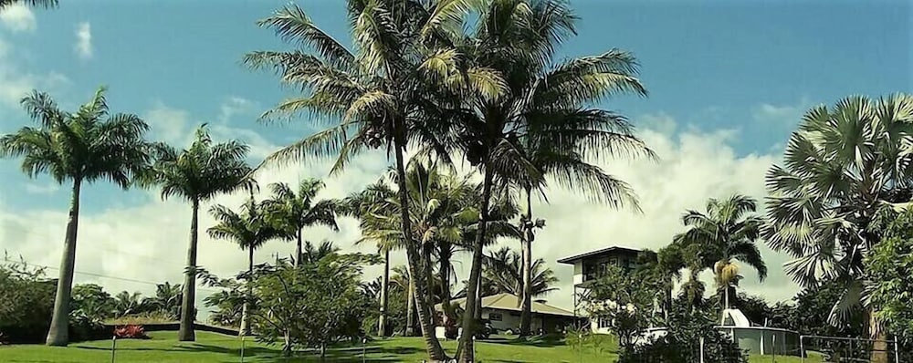 Napoli - Hilo - Island Goode's - Luxury Adult Only Accommodation near Hilo
Napoli - Hilo - Island Goode's - Luxury Adult Only Accommodation near Hilo