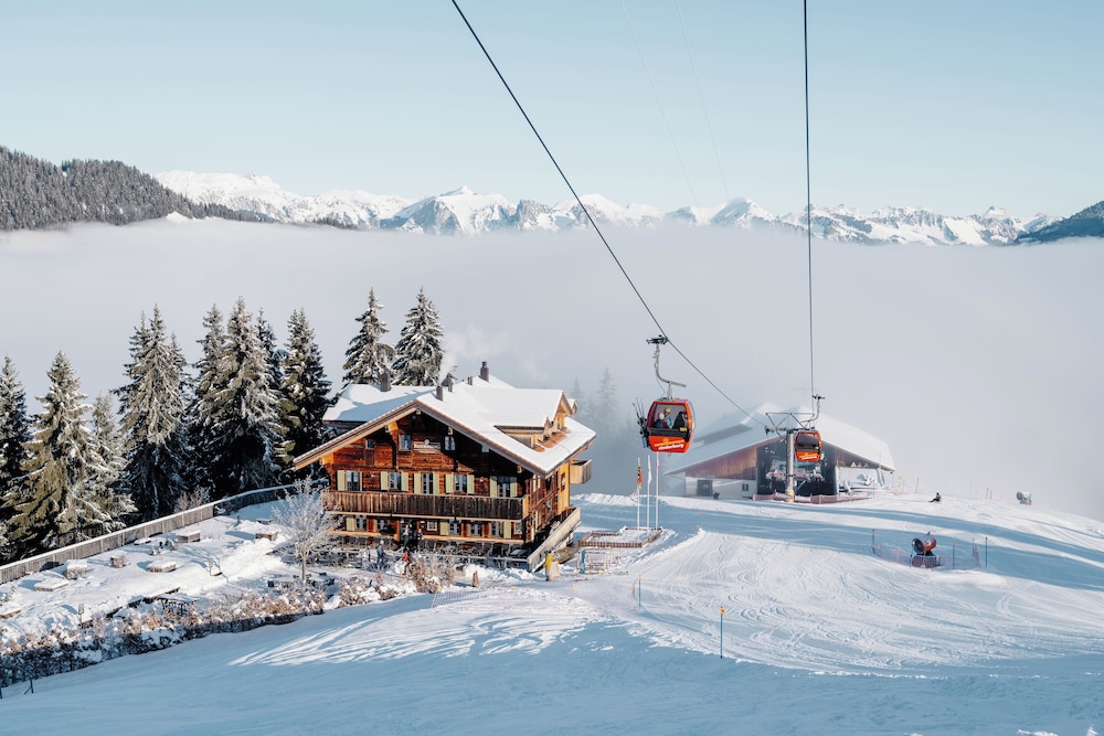 Milano - Gstaad - Rinderberg Lodge
Milano - Gstaad - Rinderberg Lodge