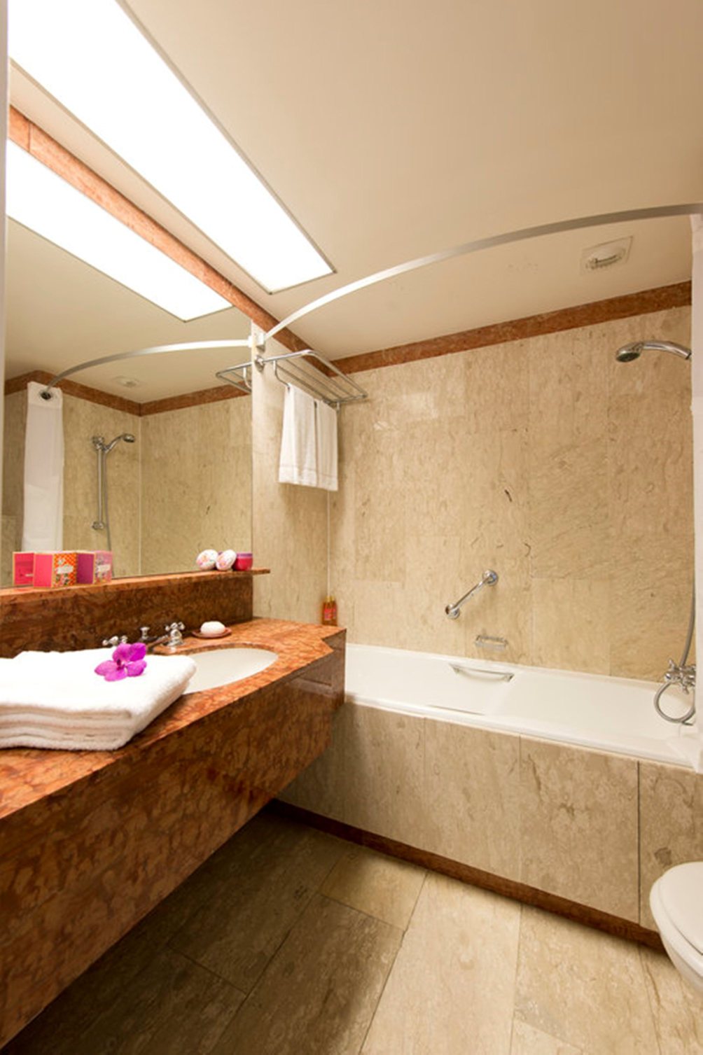 Hotel Holiday Inn Nice