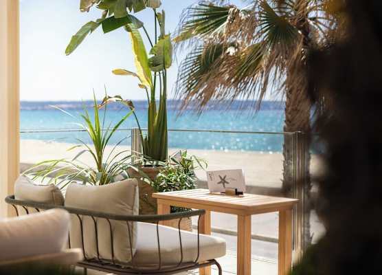 Hotel Eden Palma Playa Adults Only 1