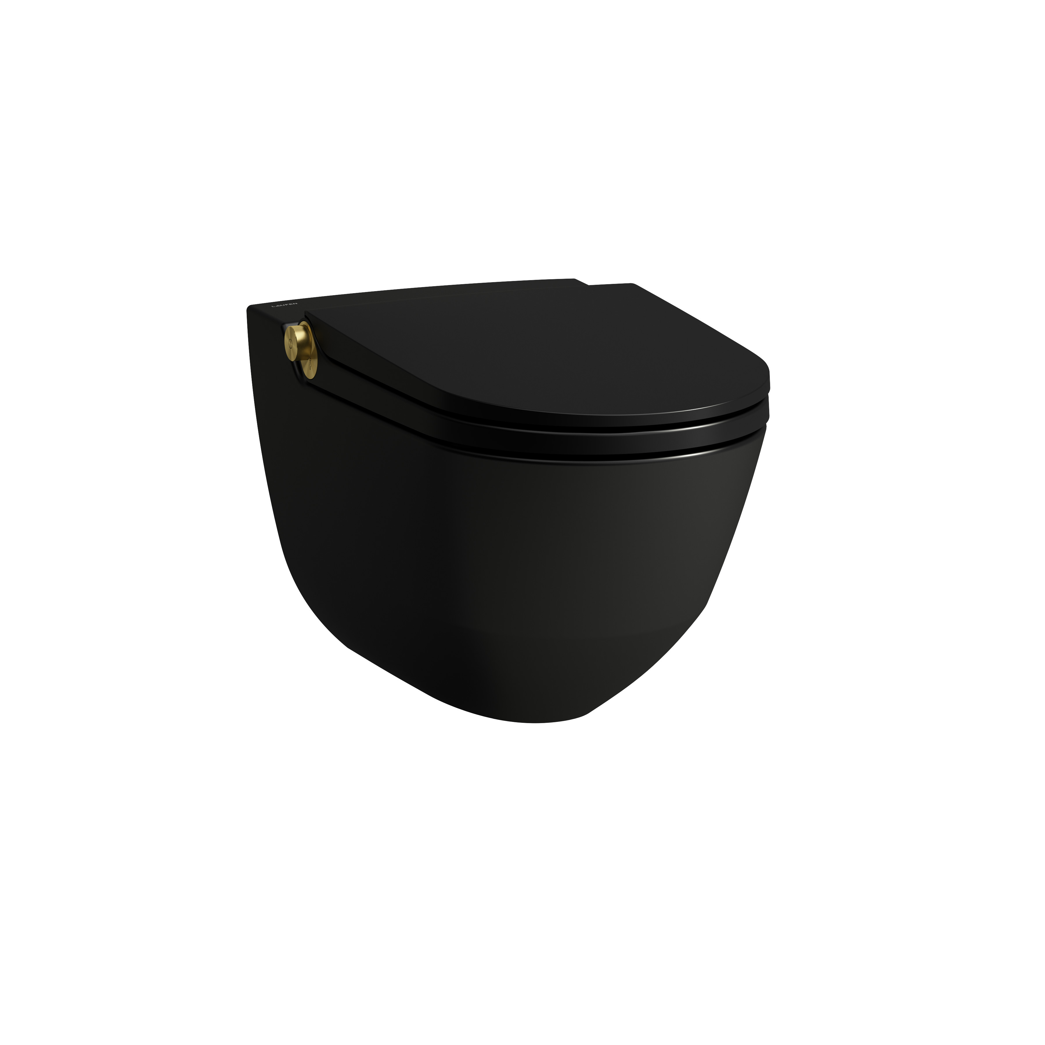 Riva wc lavant avec abattant, couleurs:céramique noir mat, bouton gold