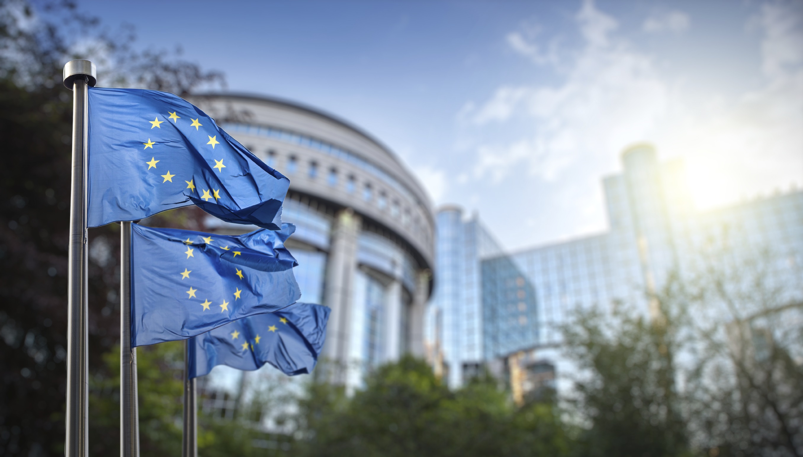 European flag outside EU parliament, Brussels Croatian case to clarify EAW double jeopardy rules