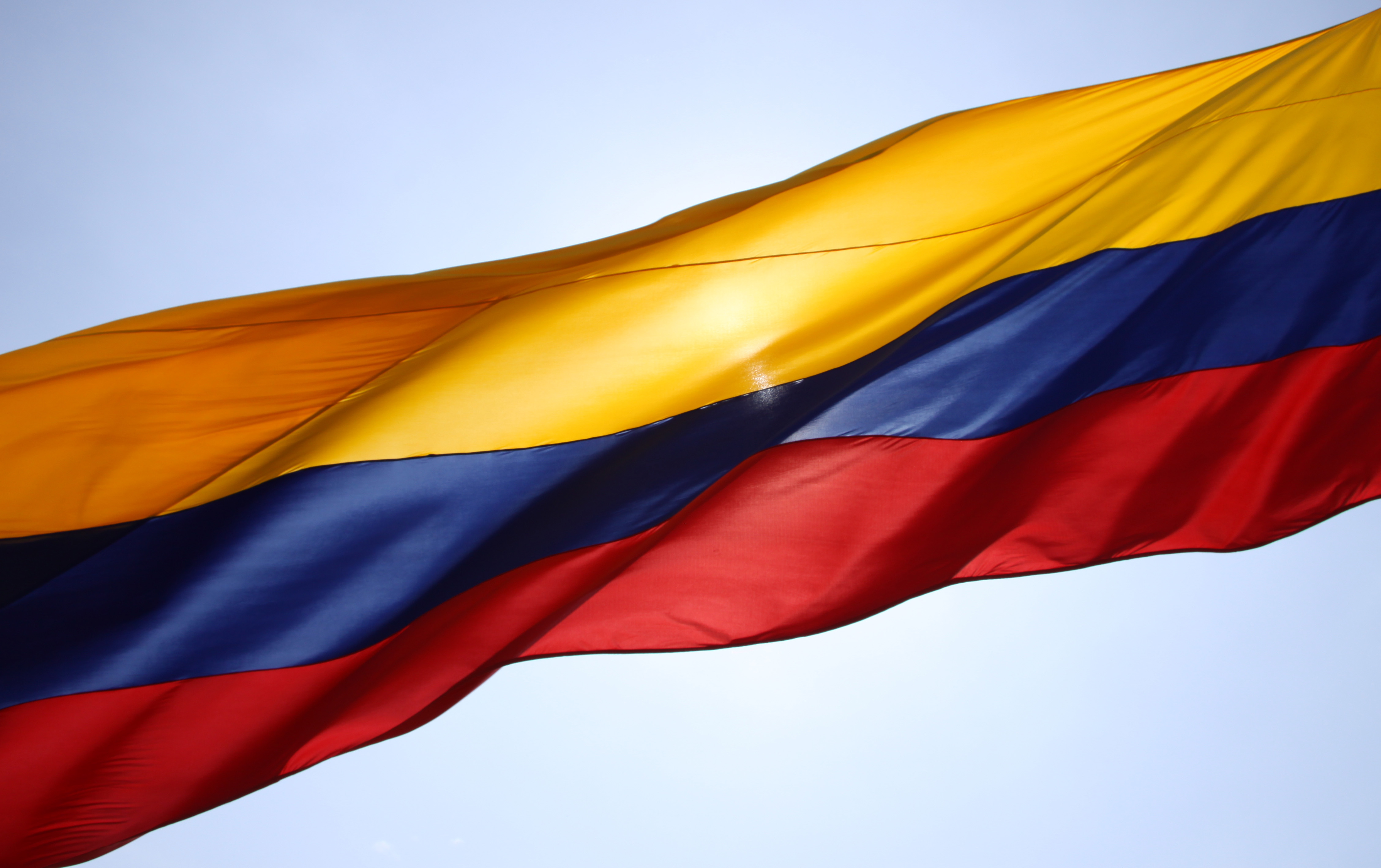 Colombia flag OECD expert: competition reduces corruption
