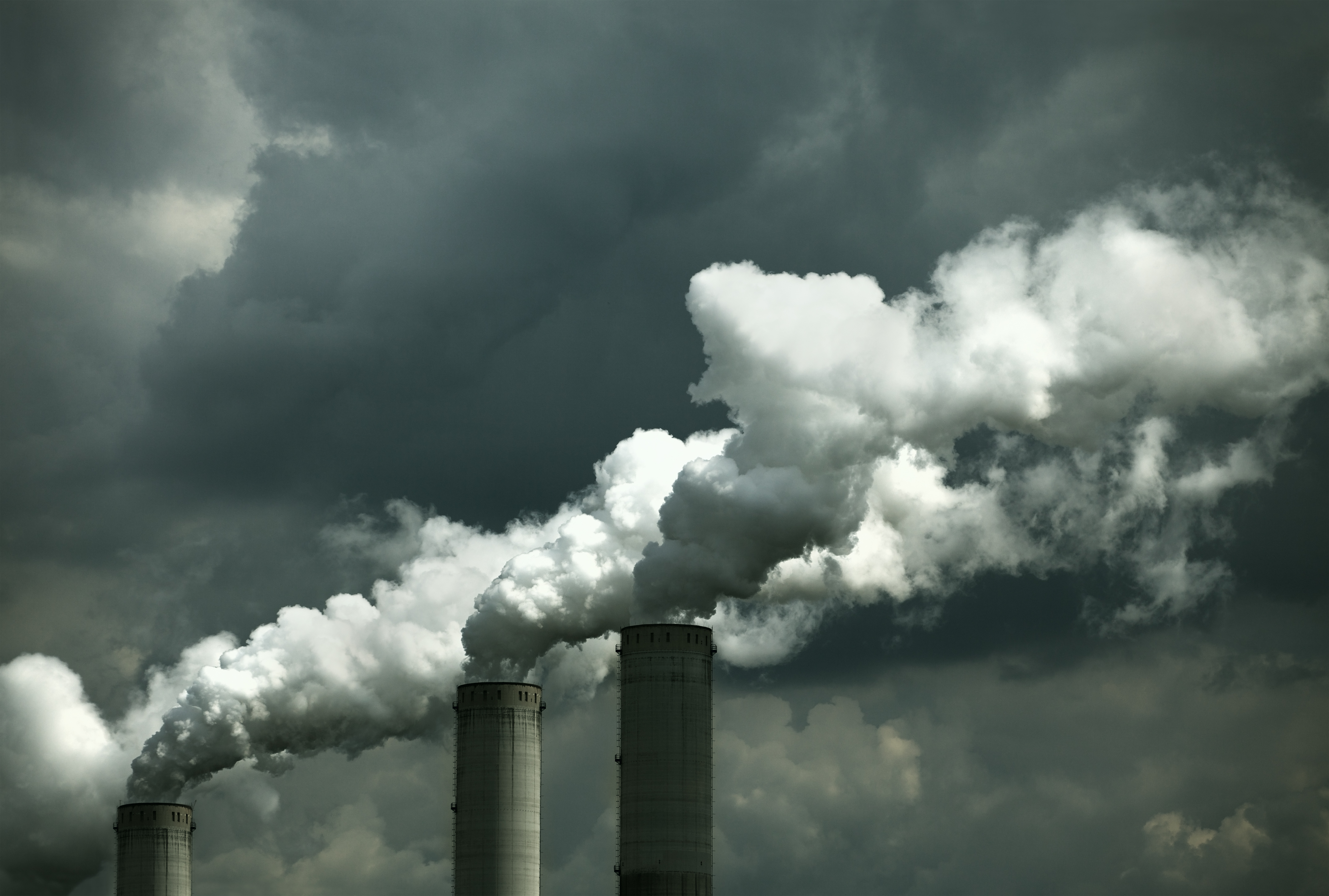 Forge Group secures 11th hour relief under Chapter 15