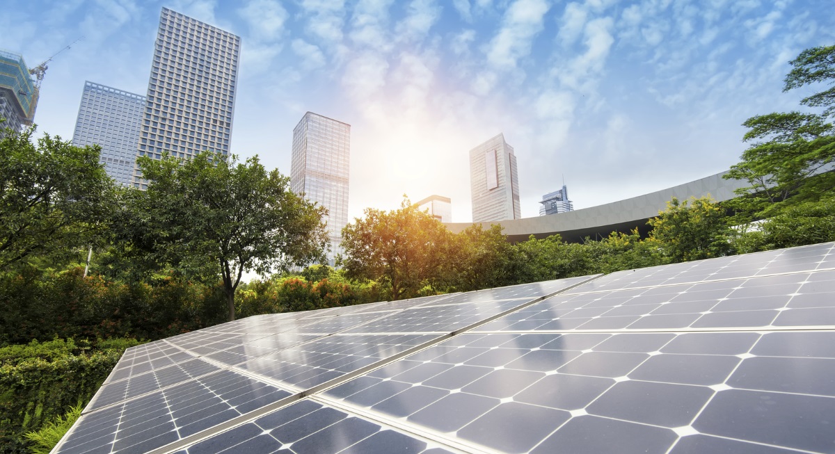 Solar Panels US solar company looks to Trump for trade protections in bid to survive Chapter 11